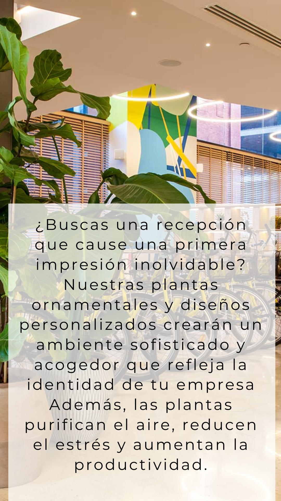 Historia Instagram Frase Motivacional Psicología Orgánico Azul (2)